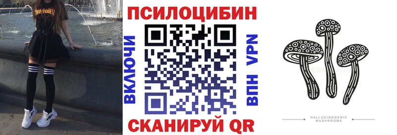 Купить закладки Сланцы Галлюциногенные грибы Psilocybine cubensis